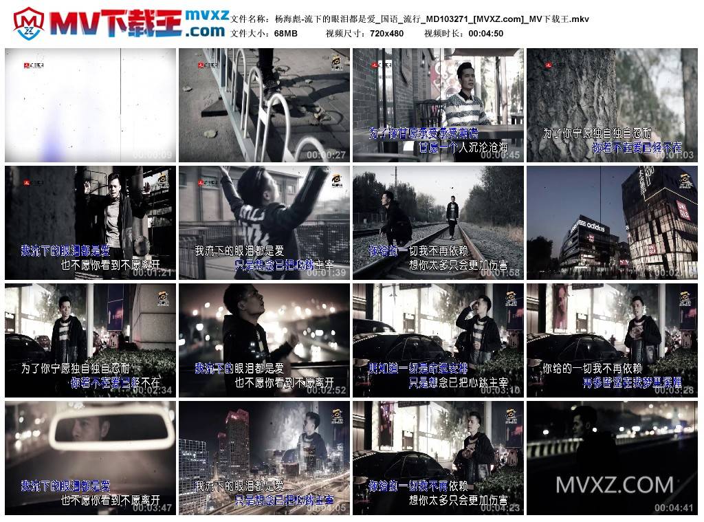 杨海彪-流下的眼泪都是爱_国语_流行_MD103271